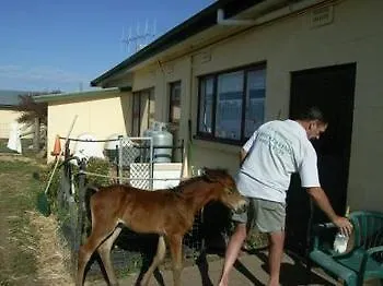 ***  Alpine Country Motel Plus Free Coffee Cooma Australia